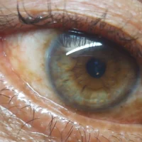 jk471533 avatarbilde