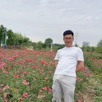 viviyataas profilbillede