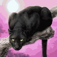 NinaAndres's Profile Pic