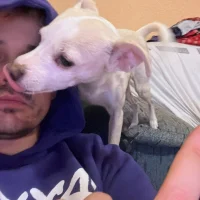 Alexalbert 아바타 사진