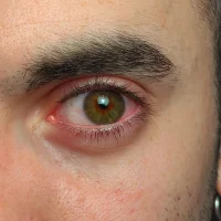 Stewie1995 avatarképe