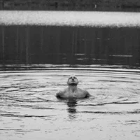 Ảnh Đại Diện Elio_Morel