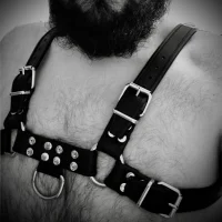 rheincub's Avatar Pic