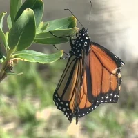 peterfran55のアバター写真