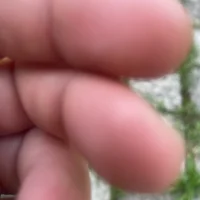 รูปโปรไฟล์ของ jul0311