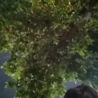 Foto de perfil de hourse_