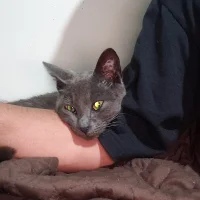 Zdjęcie profilowe modela NikoB86