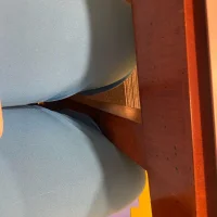veronicabraga 的個人資料圖片