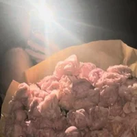 luna_veyraa
