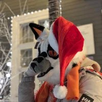DareLumi's Profile Pic