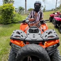 BlackStallion13in Stripchat