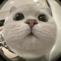 Imagem de avatar de lbbbx