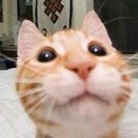 Image d’avatar de WildBSinTX