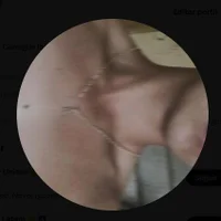 edROD's Profile Pic