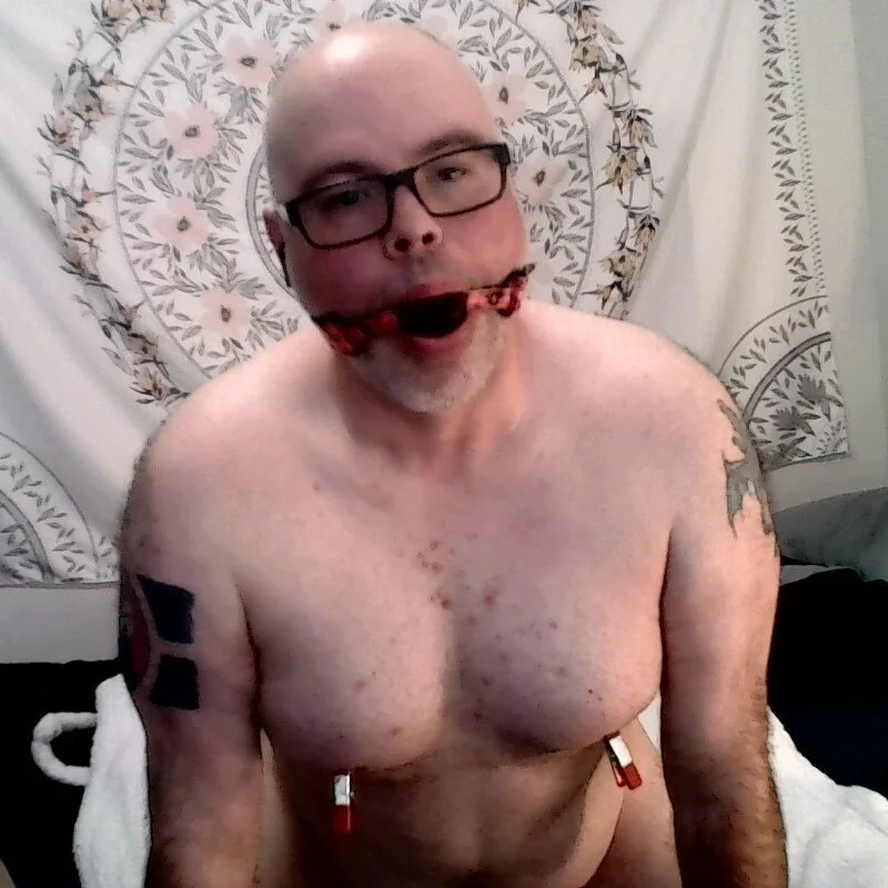 piggy4pain profile photo