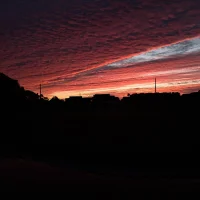 รูปอวาตาร์ของ Dariant2001