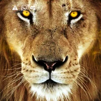 BiGBOY332222's Profile Pic