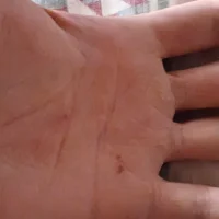 ellaltinoarg
