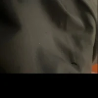 cazzonelu12's Profile Pic