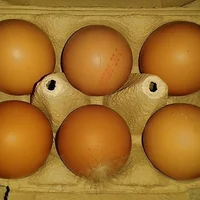 Ảnh Đại Diện hexor70