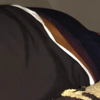 X-boy-11 model avatar