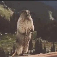 Foto do avatar de -a_jun-