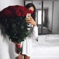 DianaRice's Profile Pic