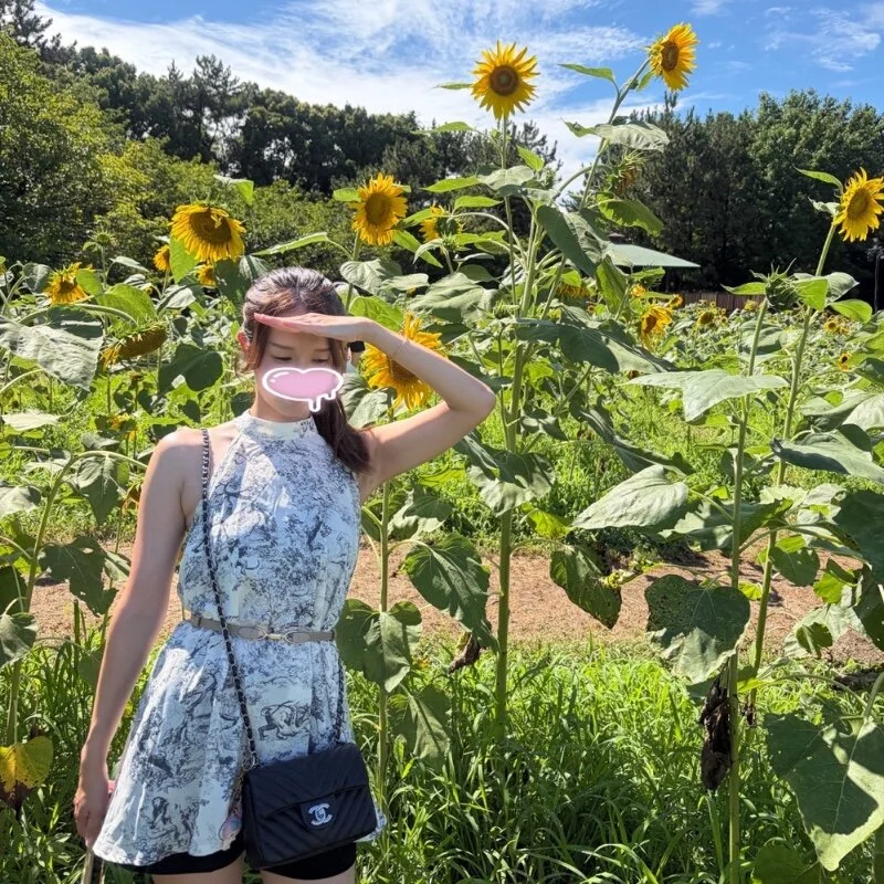 merochan profile photo