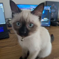 MerlinDenver's Profile Pic