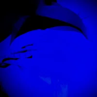 labioscarnosos - Profil Fotoğrafı