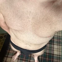 johnnyc88