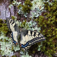 Foto del avatar de SirQuestion