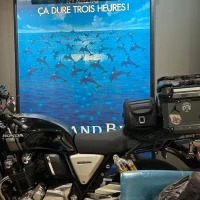 gavin670619: εικόνα άβαταρ