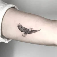 Immagine del profilo di Muvvt