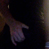 b1gd1cky's Avatar Pic