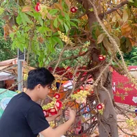 kuken94 的個人資料圖片