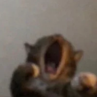 shuang_jiang 頭像圖片