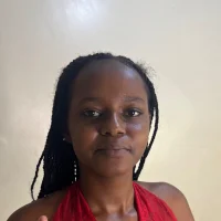 Prettytess webcam