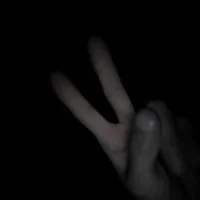 Loiro_20cm