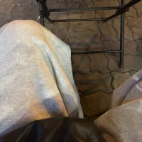 Otis9x – Avatar fotka