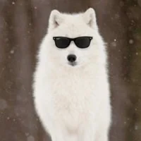 SexyNiceGuy's Avatar Pic