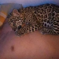 Снимка на аватара на Jeidy96