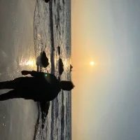 Immagine del profilo di ComplexSinging