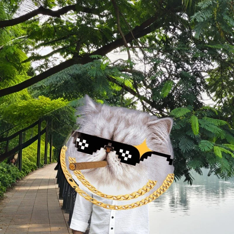 rajaaaaa11 profile photo