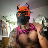 danix_wild_wolf Gambar Avatar