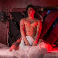zerref_'s Profile Pic