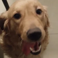 Mike_8_inches 頭像圖片