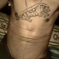 SMLionShow's Avatar Photo