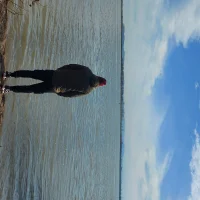 lovellyguy's Profile Pic