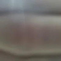 spiderfn